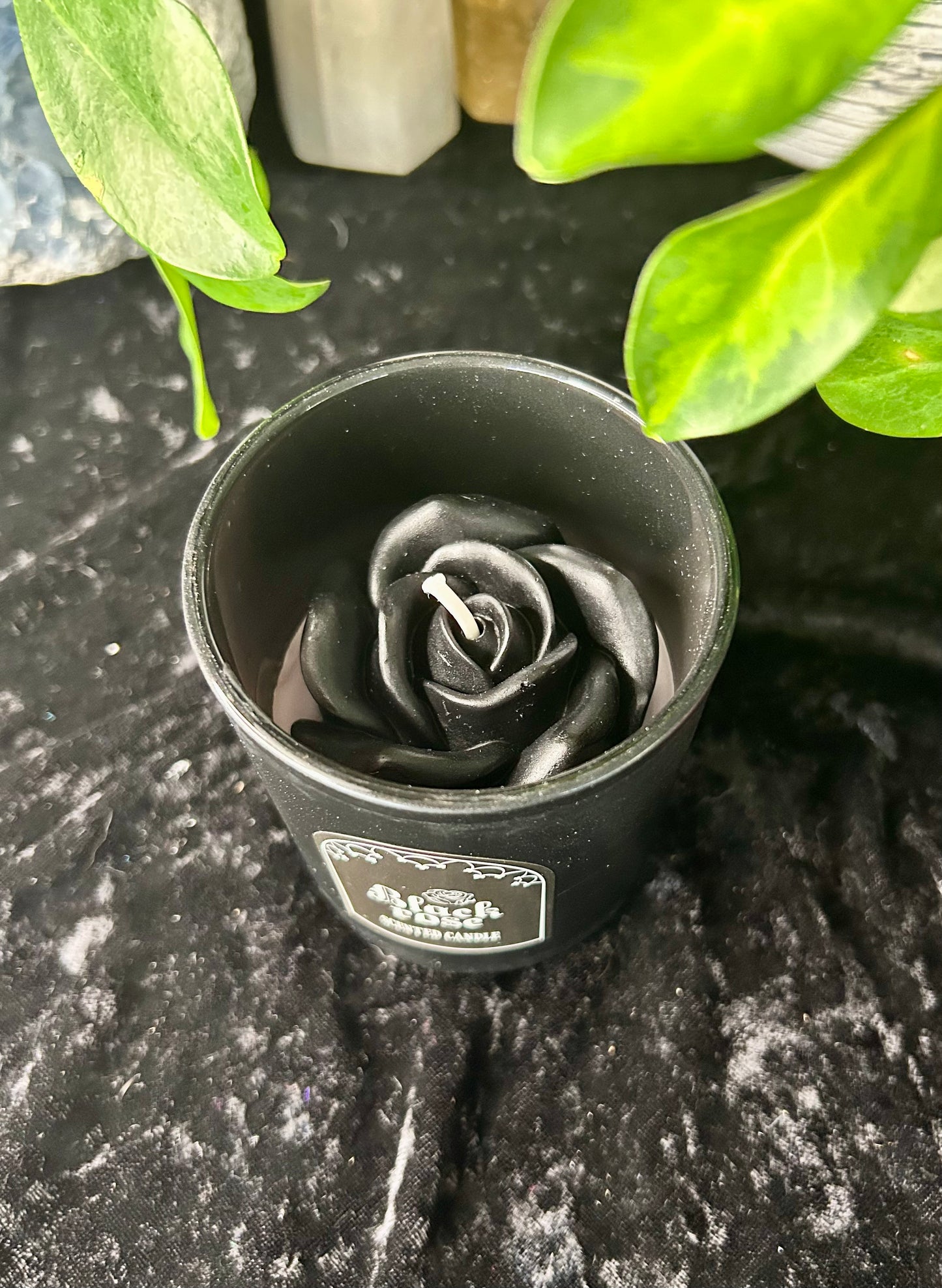 Black Rose candle