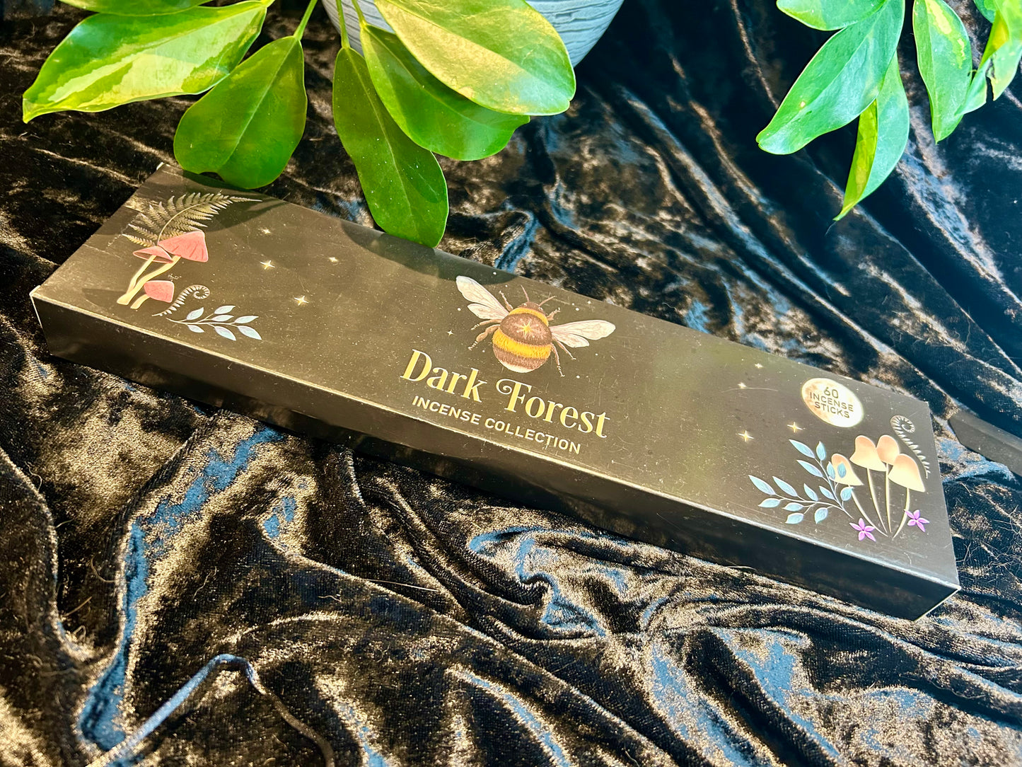 Dark Forest Incense Trio