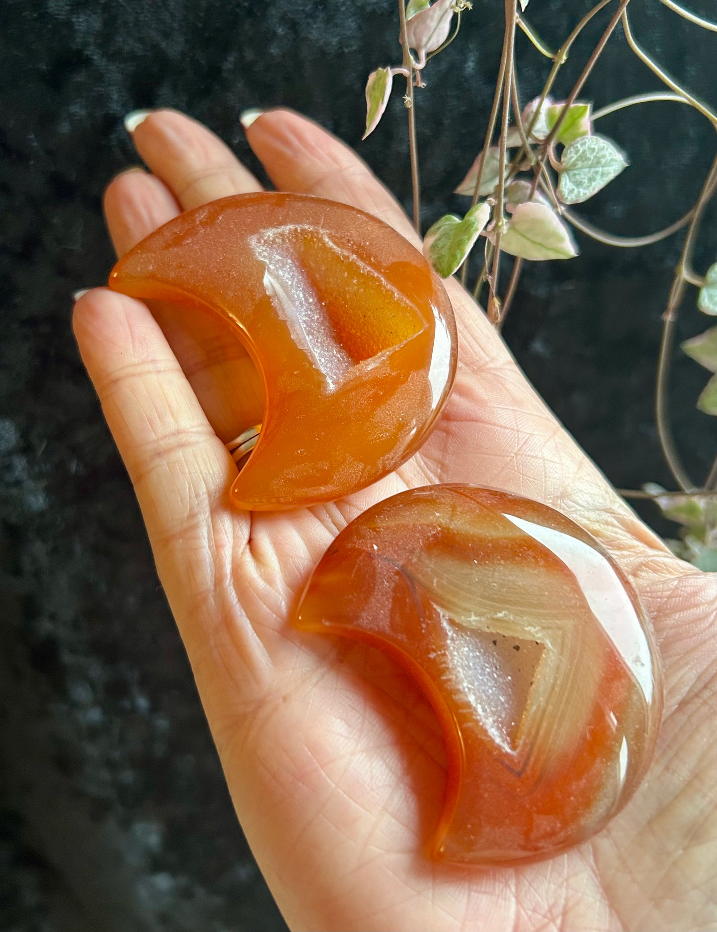 Carnelian moon with Druze