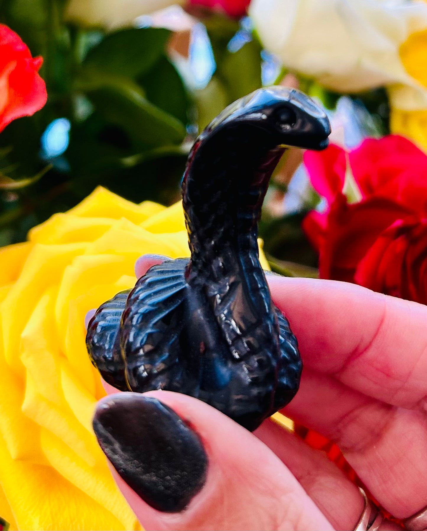 Black Obsidian snake
