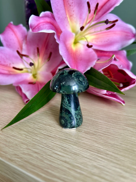 Kambaba Jasper mushroom