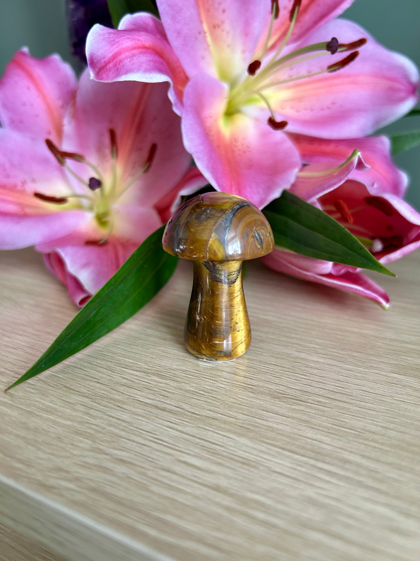 Tigers Eye mushroom
