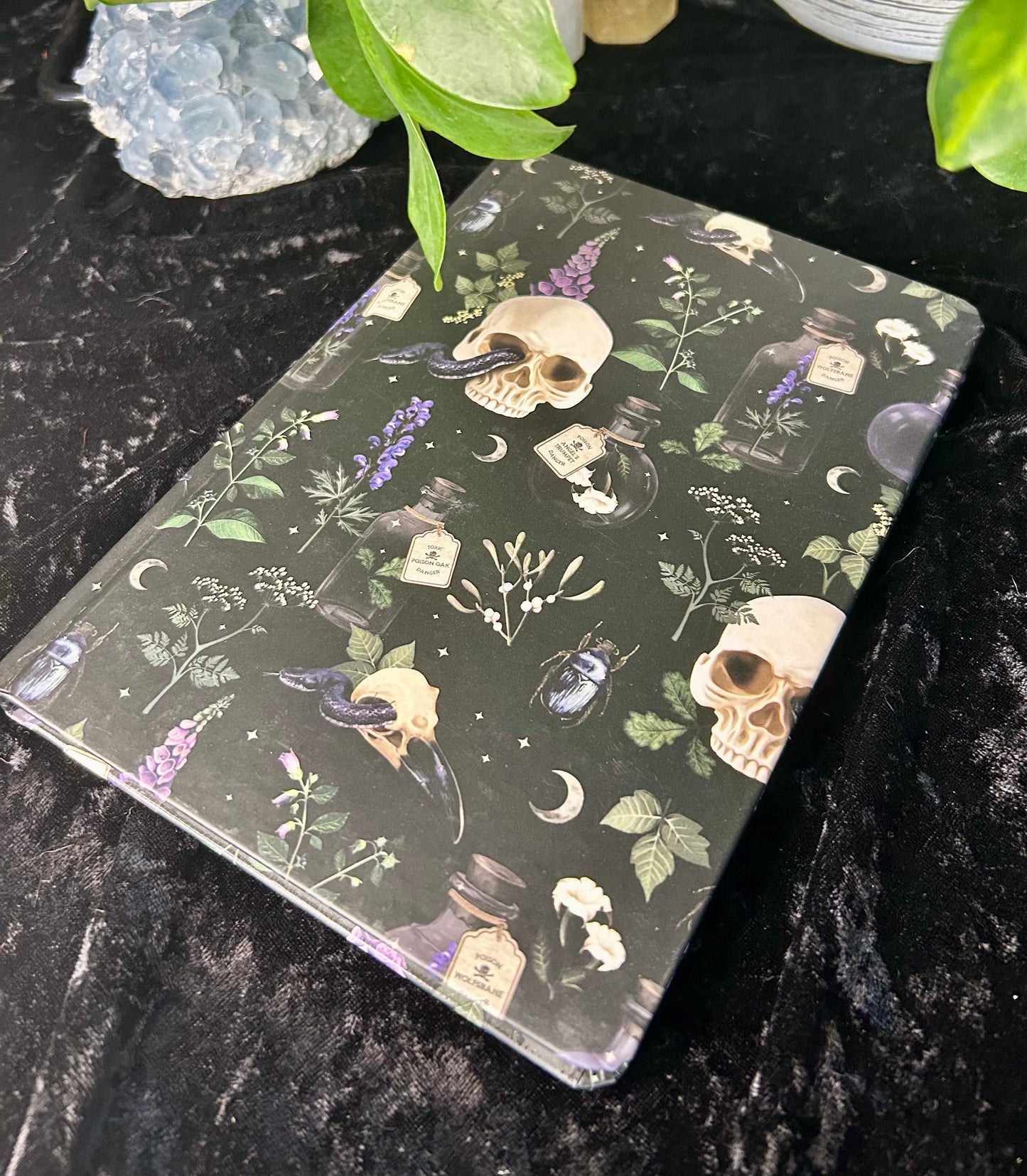 Venom & Vines notebook