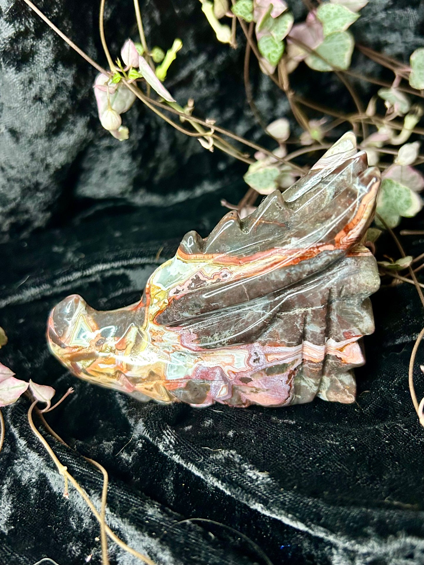 Crazy Lace Agate carved Dragons head