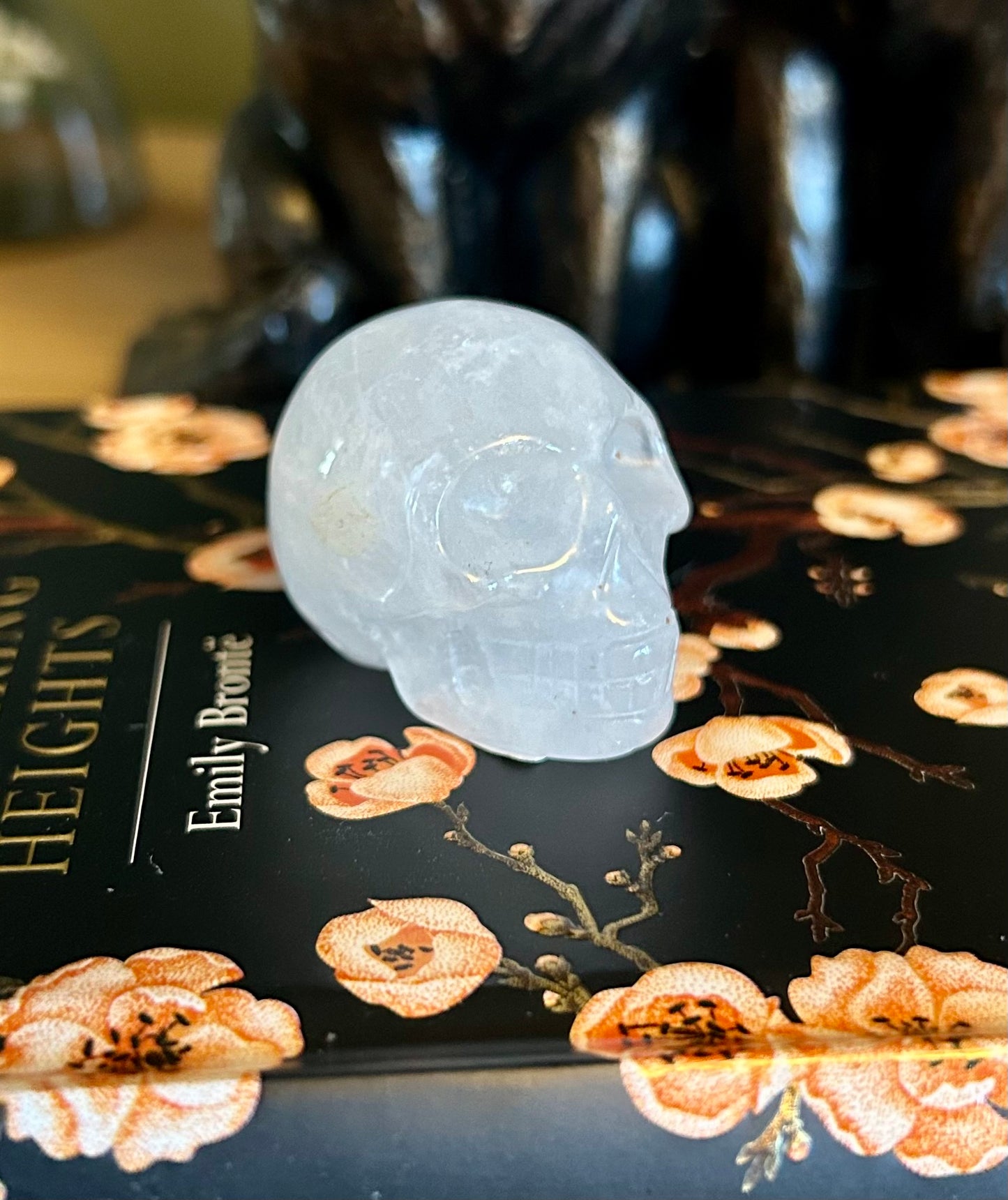 Clear Quartz skull
