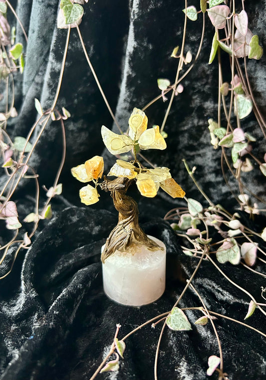 Citrine tree of life