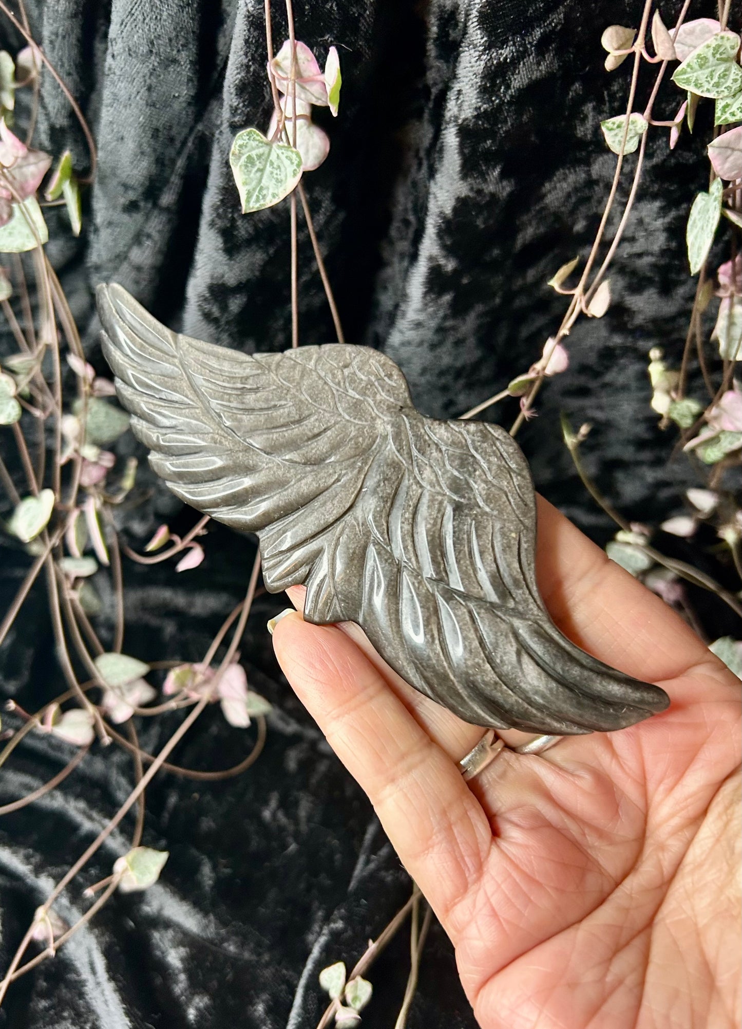 Sheen obsidian Angel Wings