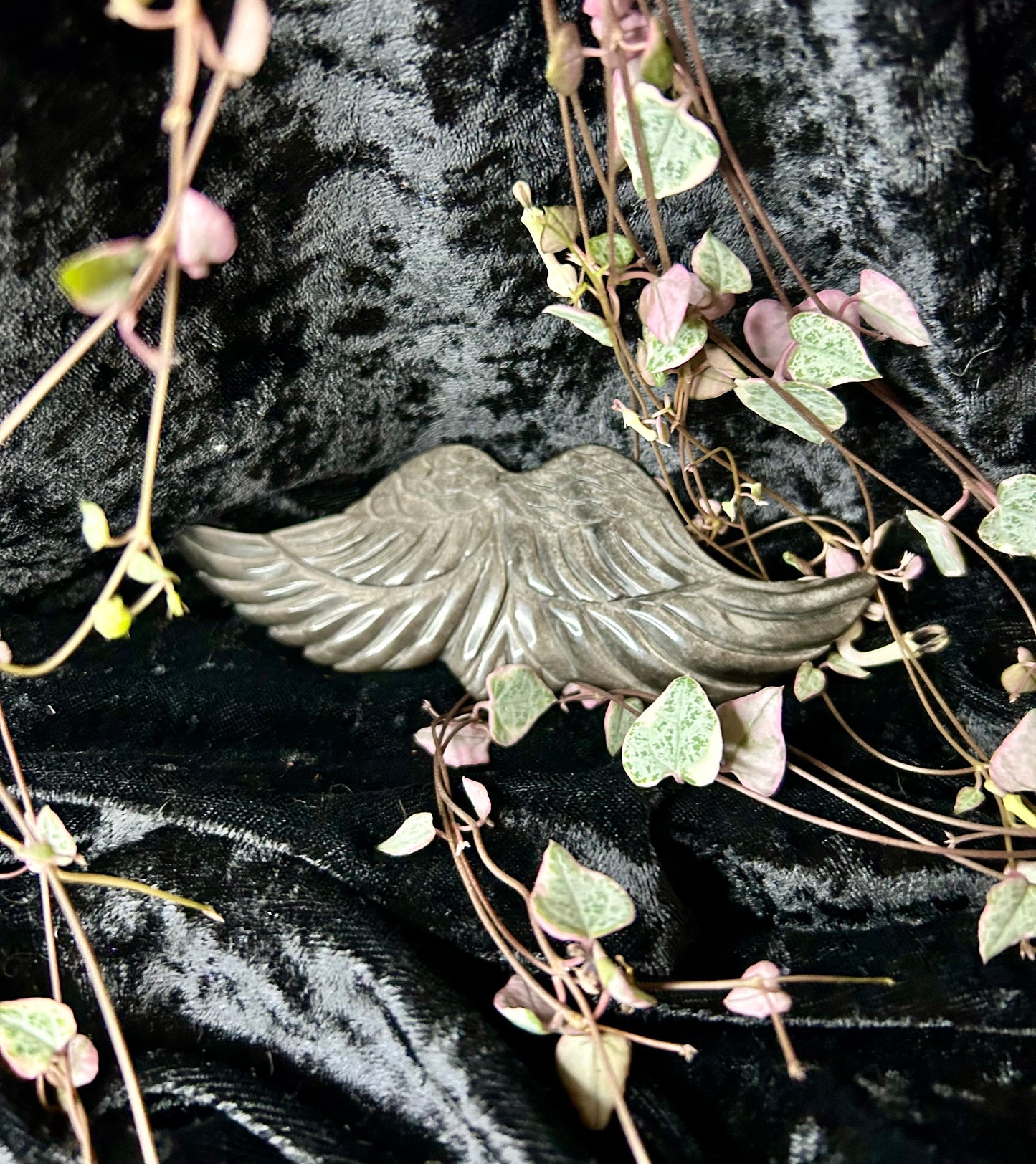 Sheen obsidian Angel Wings