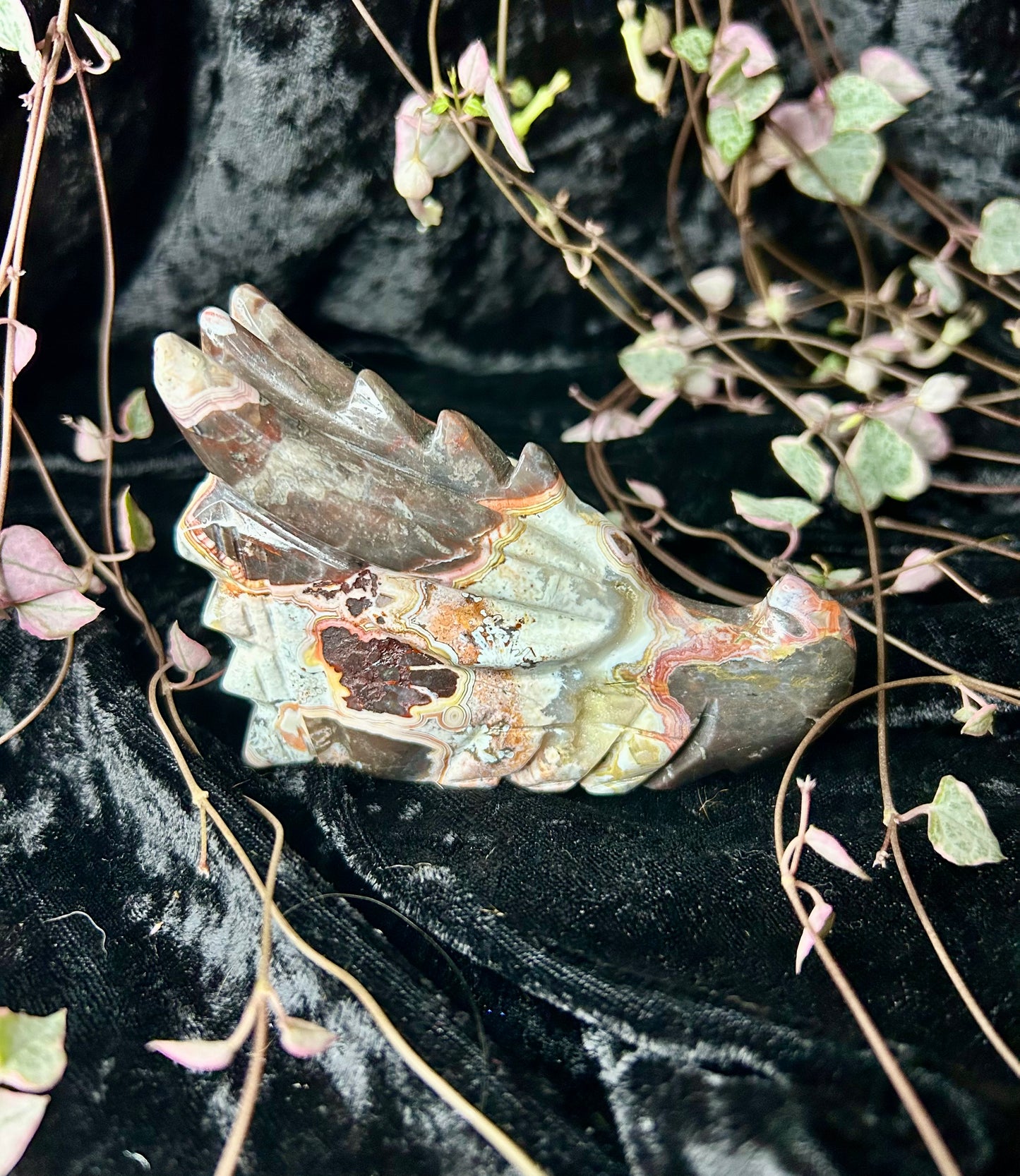 Crazy Lace Agate carved Dragons head
