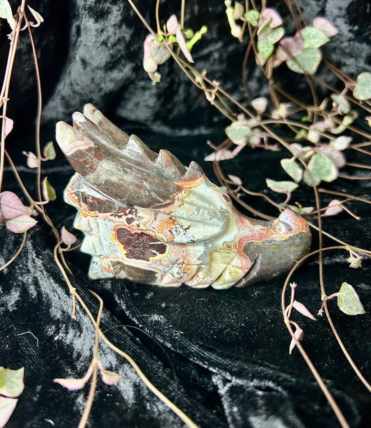 Crazy Lace Agate carved Dragons head