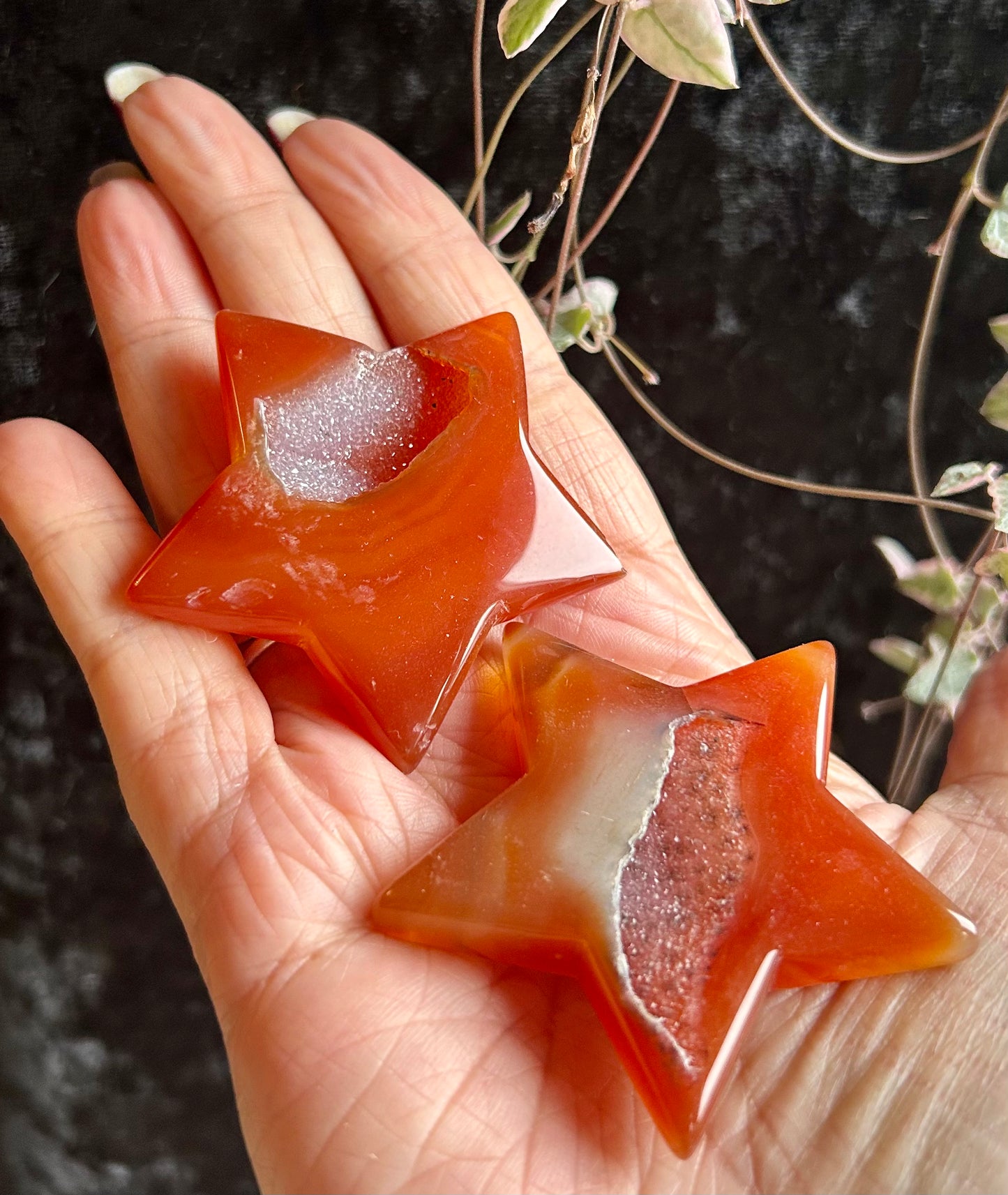 Carnelian star with Druze