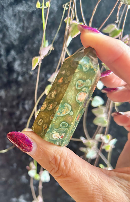 Rainforest Jasper point